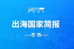 k8凯发GO GLOBAL | 巴西国家简报